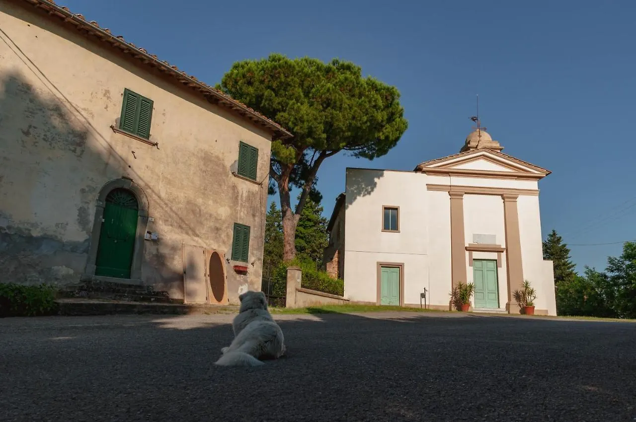 Centro Studi Nuovarmonia Cedri